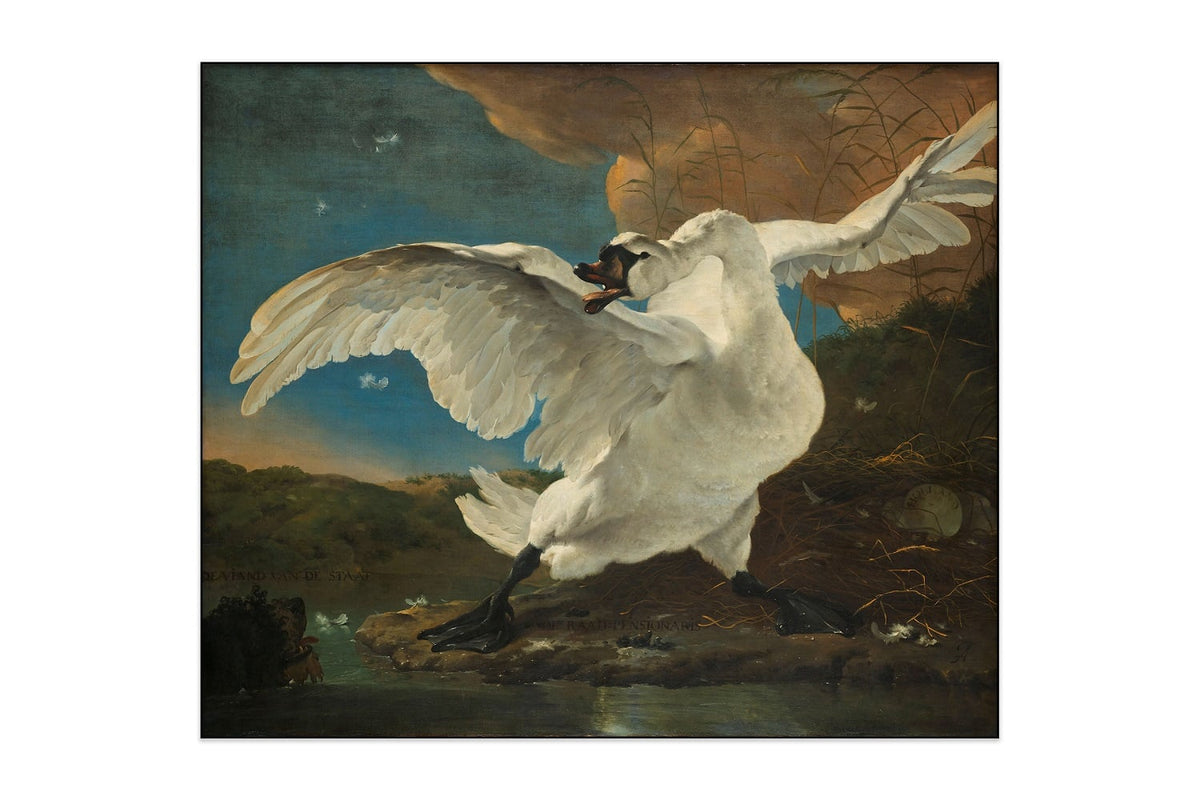 Image supplémentaire du produit Jan Asselijn - Le Cygne menacé