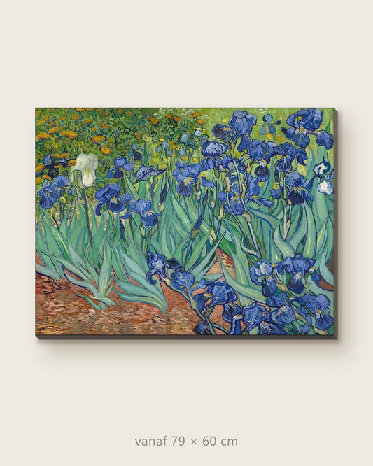 Akoestisch schilderij Irissen – productfoto op effen achtergrond